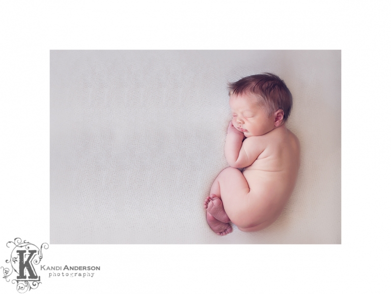 kandi anderson newborn photography