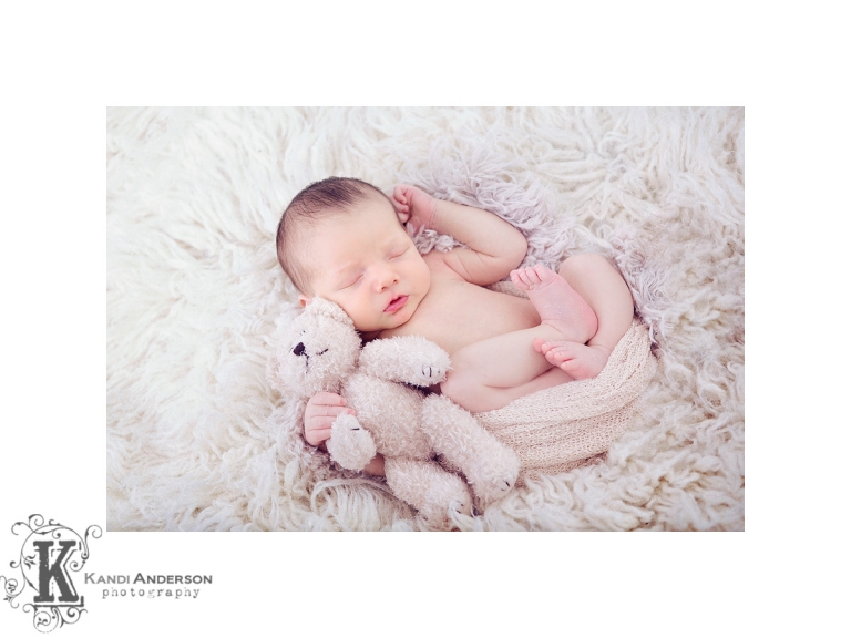 Newborn Photography Elko 