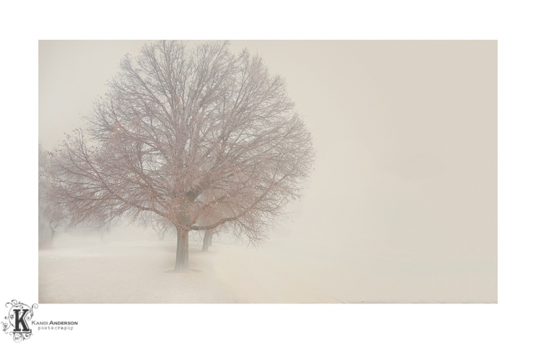 enchanting tree with mystical fog