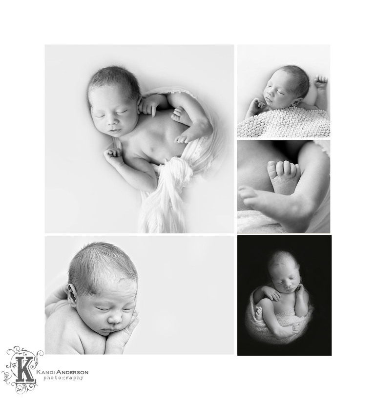 simple and pure newborn photography