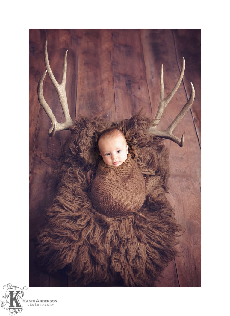 deer antlers horns and baby