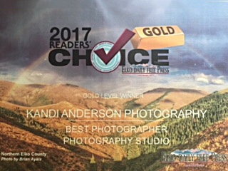 2017 Elko Nevada Reader's Choice Gold Award